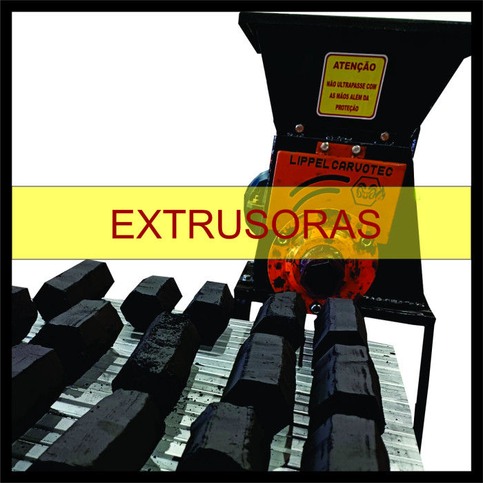 Briquetadeira/Extrusora de Carvo